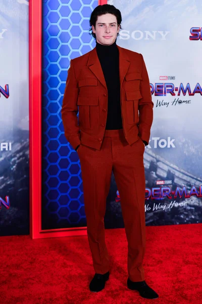 テレビの人格ブレイク グレイは 2021年12月13日に米国カリフォルニア州ロサンゼルスのリージェンシー ビレッジ シアターで開催された Spider Man Way Home のコロンビア映画のプレミアに到着します — ストック写真