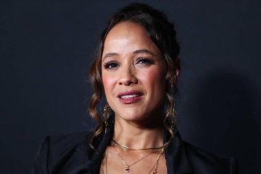 Aktris Dania Ramirez, Netflix 'in 