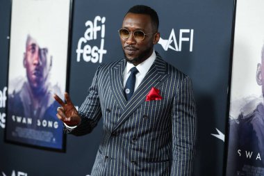 Aktör Mahershala Ali, 12 Kasım 2021 'de Hollywood, Los Angeles, Kaliforniya, ABD' de düzenlenen TCL Çin Tiyatrosu IMAX 'ta düzenlenen 2021 AFI Fest - Apple' ın Dünya Gala Filmleri 'Kuğu Şarkısı' na geldi..