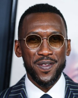 Aktör Mahershala Ali, 12 Kasım 2021 'de Hollywood, Los Angeles, Kaliforniya, ABD' de düzenlenen TCL Çin Tiyatrosu IMAX 'ta düzenlenen 2021 AFI Fest - Apple' ın Dünya Gala Filmleri 'Kuğu Şarkısı' na geldi..