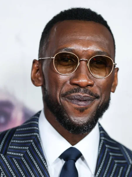 Ator Mahershala Ali Chega 2021 Afi Fest Estreia Mundial Swan — Fotografia de Stock