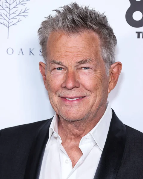 Kanadensisk Musiker David Foster Anländer Till 7Th Annual Imagine Ball — Stockfoto