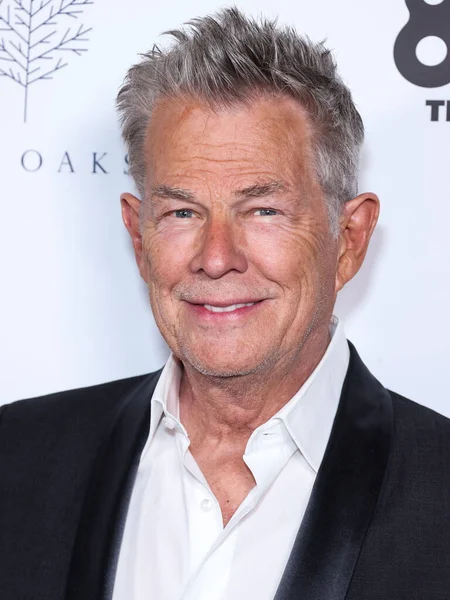 Kanadensisk Musiker David Foster Anländer Till 7Th Annual Imagine Ball — Stockfoto