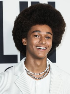 Aktör Jaden Michael, Netflix 'in 
