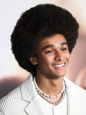 Aktör Jaden Michael, Netflix 'in 