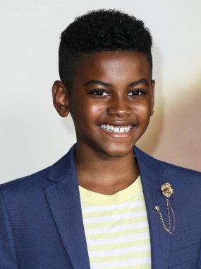 Aktör Peyton R. Perrine, Netflix 'in 