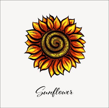 Sunflower hand drawn isolated on white background EPS 10
