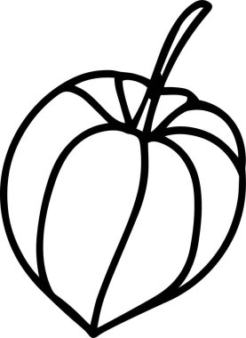 Physalis Vector, Clip Art, Black and White