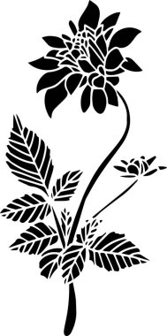 Chrysanthemum Vector Stencil, black and white