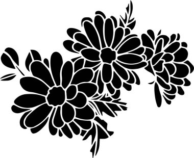 Aster Vector, Stencil, black and white