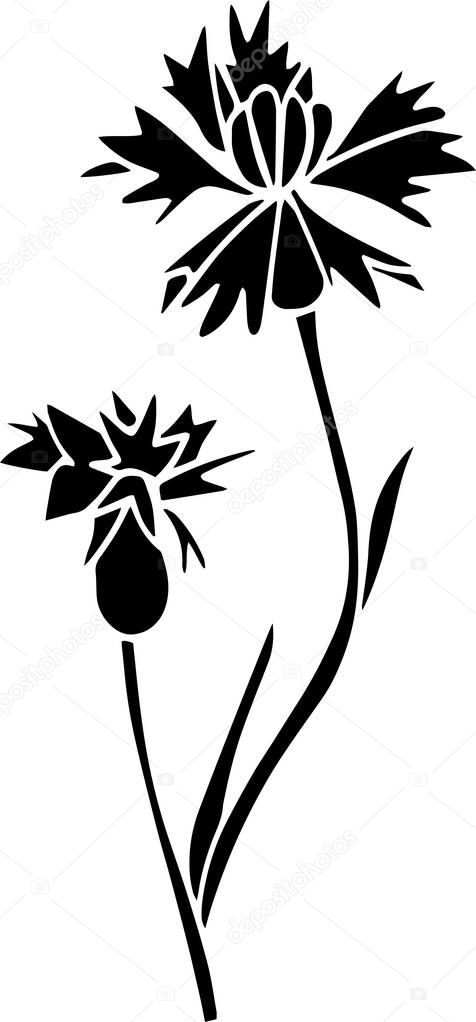 Cornflower Vector Stencil, black and white