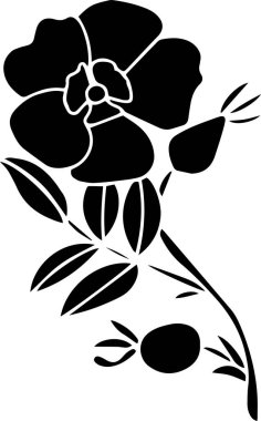 Rosehip Vector Stencil, black and white