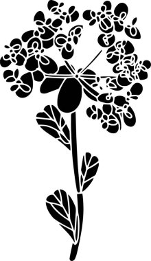 Euphorbia Vector Stencil, black and white