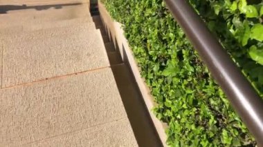 the city of the park in the north of the state of israel, Haifa