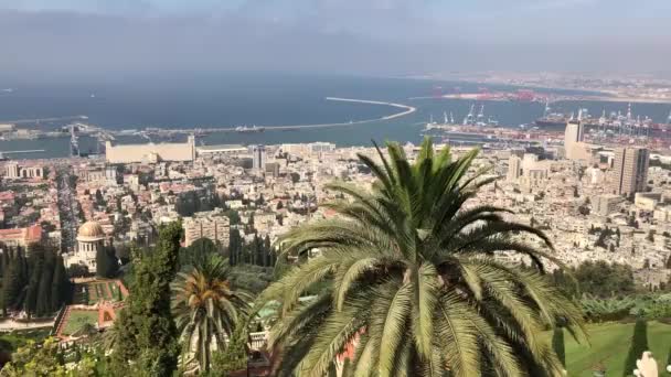 Beautiful View Israel Haifa — ストック動画