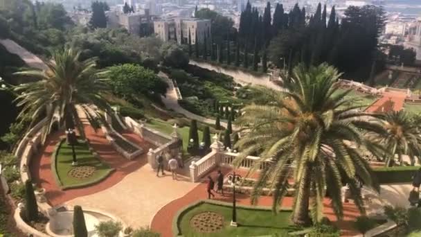 Прекрасний Краєвид Ісраель Хайфа Сад Бахаї — стокове відео