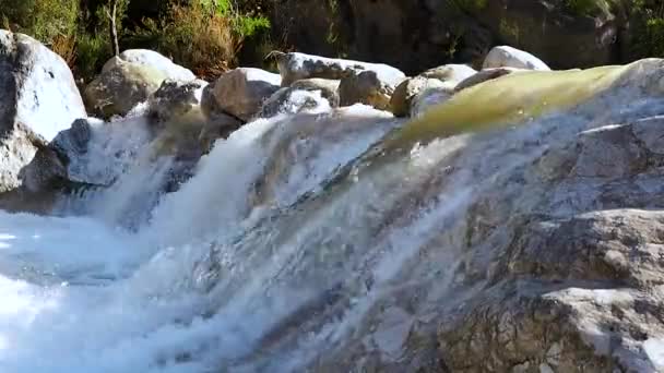 Kilátás a gyors vízáramlás után eső a hegyekben - hegyi folyó. — Stock videók