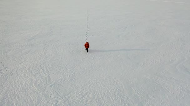 ツンドラで救助活動を検索-雪の砂漠の真ん中に一人旅のヘリコプターからの眺め. — ストック動画