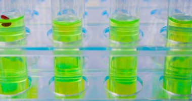 Yakın çekim 4k video - enfekte kan damlaları araştırma için bir çözüm ile bir test tüpü içine düşer.