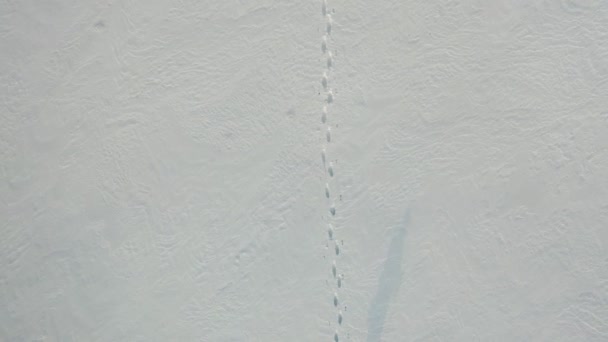 La cámara se mueve a lo largo de las huellas solitarias de un hombre en un desierto nevado y se pone al día con un viajero solitario. El concepto de supervivencia en condiciones extremadamente frías. Imágenes aéreas. — Vídeo de stock