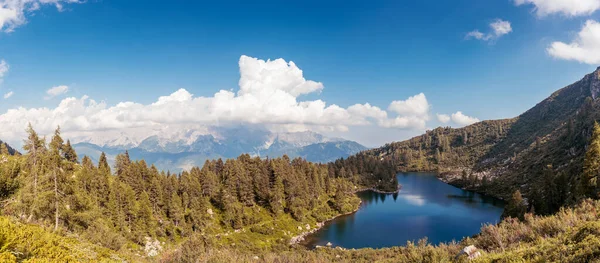 Liten Vacker Sjö Omgiven Tallskogar Spektakulära Italienska Alperna Begreppet Sommarsemester — Stockfoto