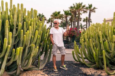 handsome middle aged man using smartphone in front of a large cactus in an exotic seaside resort - summer vacation concept