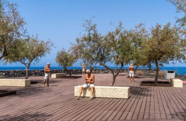 four middle aged men using smartphone in a small garden by the sea - summer vacation concept