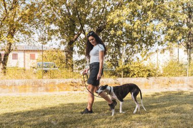 Güzel bayan köpek eğitmeni köpeğini açık hava parkında eğitiyor. Hayvanlara karşı sevgi kavramı.