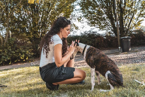 美しい女性インストラクターはトレーニング休憩中に彼女の犬を抱擁 動物への愛の概念 — ストック写真