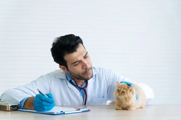 Veterinary Doctor Man Wear Uniform Blue Latex Gloves Stethoscope Writing — Stock Photo, Image