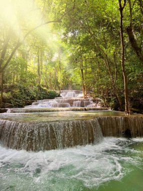 sunlight on the road in the forest