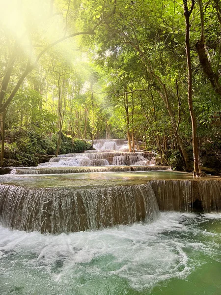 sunlight on the road in the forest