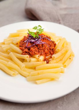 Pasta tomato sauce, owls, and plates with food top view