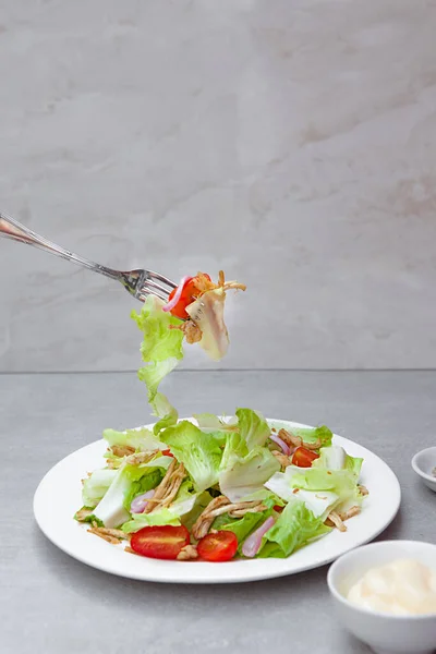 Shredded Chicken Salad Onion Tomato Bowls Plates Food Top View — Stockfoto