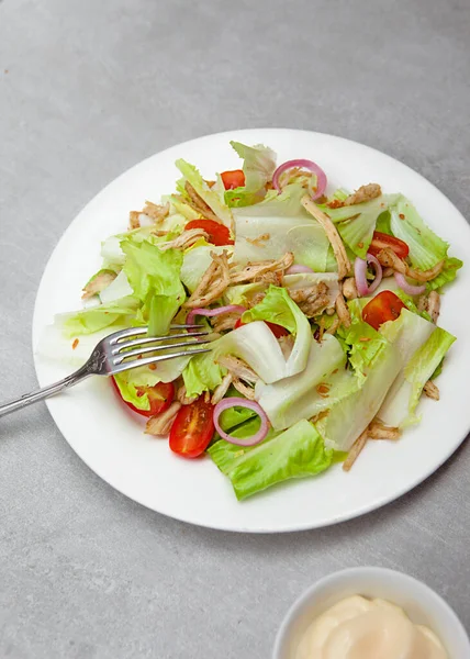 Shredded Chicken Salad Onion Tomato Bowls Plates Food Top View — Stockfoto
