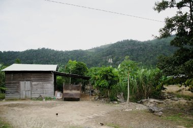 Bahçedeki küçük ev