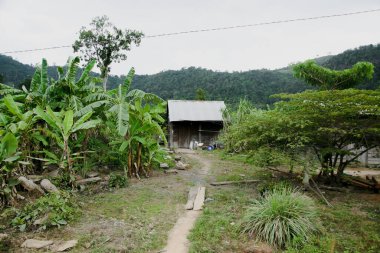 Bahçedeki küçük ev