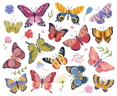 Cartoon butterfly, moth insects, exotic flying butterflies. Elegant wings insects, colorful moths and floral elements vector symbols illustrations set. Tropical butterflies collection