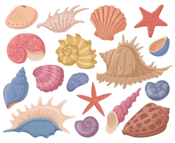 Cartoon Sea Shell Starfish Marine Mollusks Shells Underwater Clams Summer — Vettoriale Stock