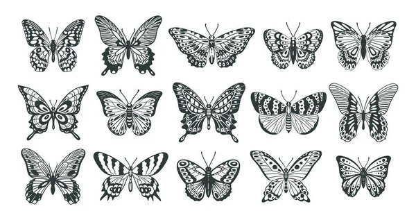 Πεταλούδα Σιλουέτα Κινούμενο Σχέδιο Έντομο Σκίτσο Που Φέρουν Πεταλούδες Σκιαγραφίες — Διανυσματικό Αρχείο