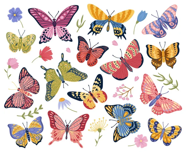 Cartoon Butterfly Moth Insects Exotic Flying Butterflies Elegant Wings Insects —  Vetores de Stock