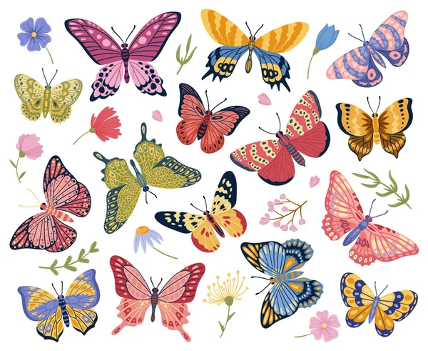 Cartoon butterfly, moth insects, exotic flying butterflies. Elegant wings insects, colorful moths and floral elements vector symbols illustrations set. Tropical butterflies collection