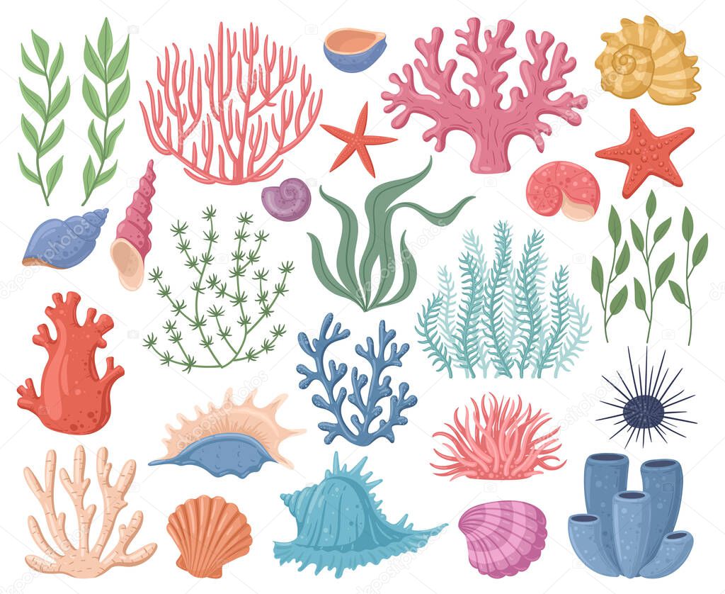 Sea conch, coral, marine clam seashells, cartoon ocean nature starfish. Underwater marine flora, seaweed, coral reef and sea shells vector symbols illustrations. Ocean life elements