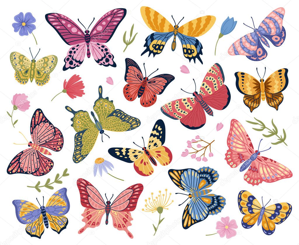 Cartoon butterfly, moth insects, exotic flying butterflies. Elegant wings insects, colorful moths and floral elements vector symbols illustrations set. Tropical butterflies collection