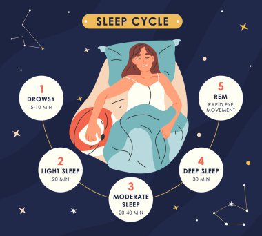 Uyku döngüsü bilgileri, gece dinlenme aşamaları, sağlıklı uyku evreleri. Genç bir kadın uyur ve uyandığında vektör konsepti çizer. İnsan uykusu ve gece dinlenme aşamaları