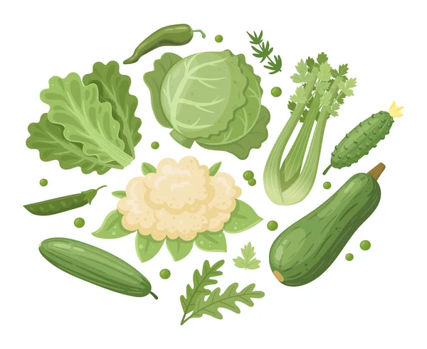 Kreskówkowe Zielone Warzywa Liście Sałatki Kapusta Organiczny Ogórek Cukinia Zdrowe — Wektor stockowy
