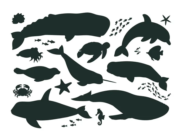 Cartoni Animati Sagome Animali Marini Fauna Vita Oceanica Orca Delfino — Vettoriale Stock