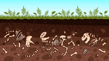 Yeraltı dinozor fosili, dinazor kemikleri. Arkeoloji zemin katmanları fosil, paleontoloji sürüngen iskeletleri düz vektör çizim koleksiyonu. Dino kemikleri kazısı
