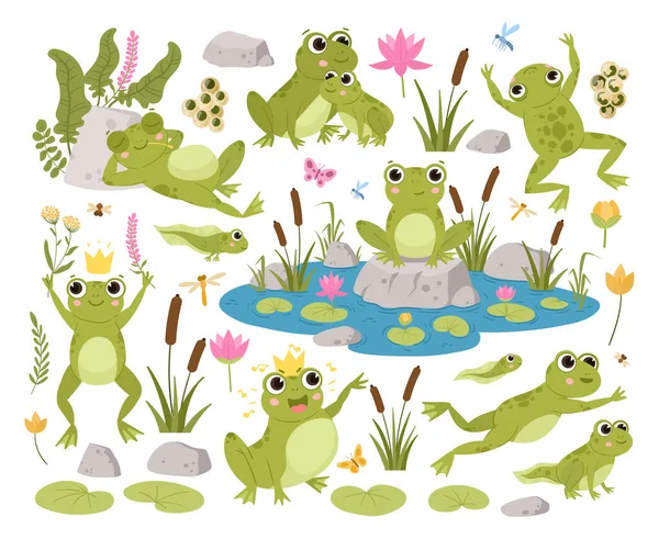 Ranas Dibujos Animados Sapos Verdes Renacuajos Anfibios Hábitat Natural Linda — Vector de stock