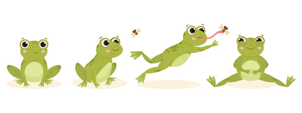 Caricature Mignonne Grenouille Chasse Amphibien Carnivore Attraper Des Insectes Chaîne — Image vectorielle